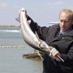 банки с черной икрой